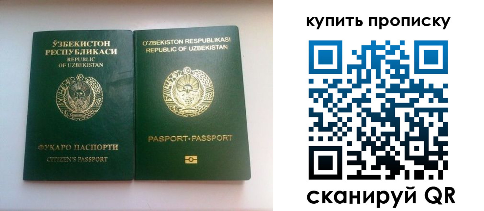 прописка в квартире в Камчатской области